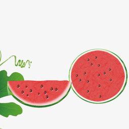 娱乐吃瓜画布背景图片高清  第2张