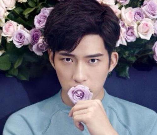 娱乐圈吃瓜明星代号田字格,揭秘明星背后的神秘面纱  第2张